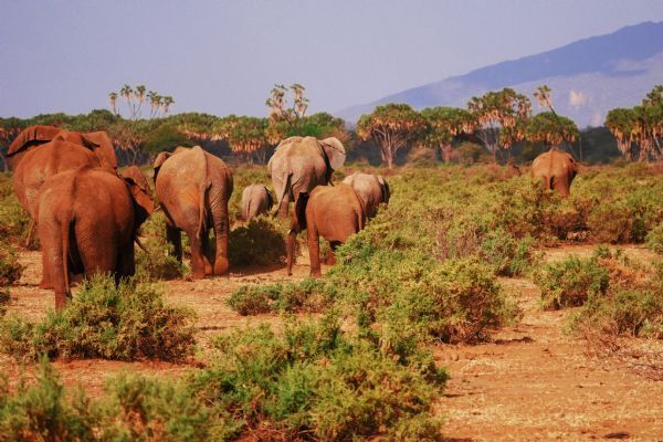 Samburu National Park