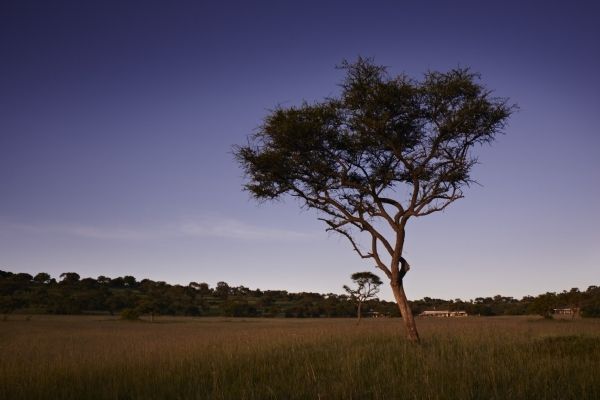 Nyerere National Park