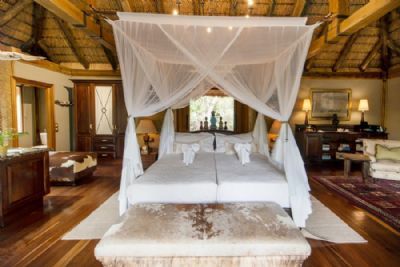 Beach, City, & Safari Sojourn