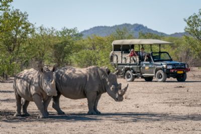 Highlights of Namibia