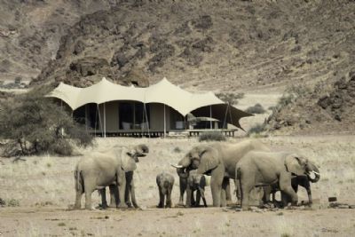 Best of Namibia Wing Safari