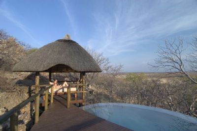 Best of Namibia Wing Safari