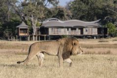 Bespoke Southern Africa