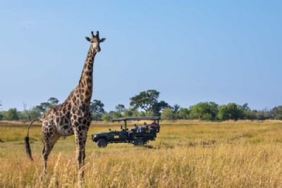 Bespoke Southern Africa