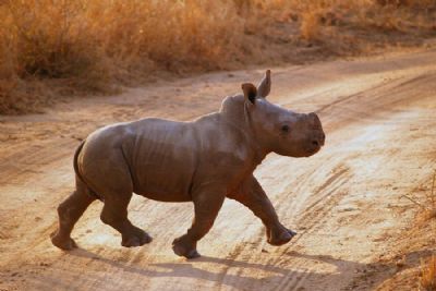 Bespoke Southern Africa