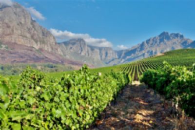 Bespoke Southern Africa