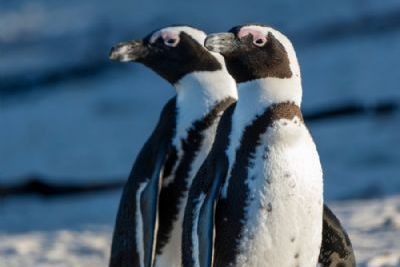 Bespoke Southern Africa