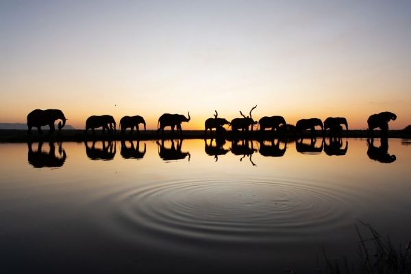 Hidden Treasures of South Africa