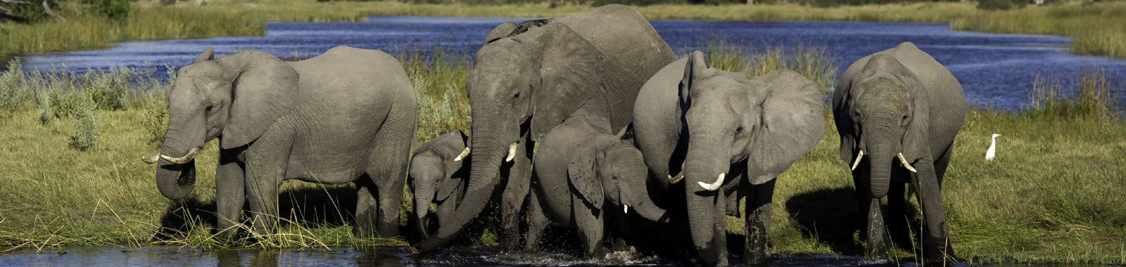 Ultimate Southern Africa Safari