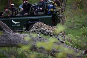 &Beyond Kirkman’s Kamp