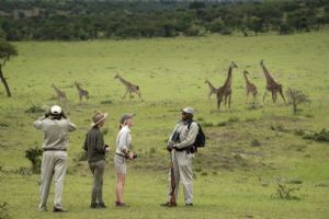 &Beyond Klein’s Camp