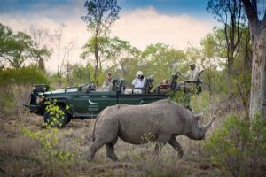 &Beyond Tengile River Lodge