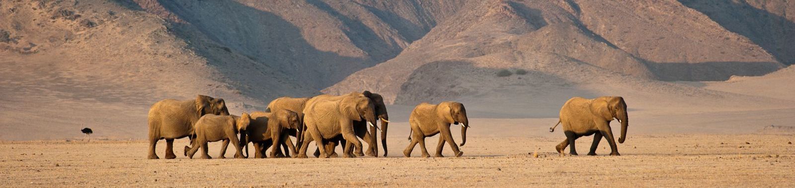 Wilderness Damaraland Camp