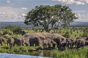 Four Seasons Safari Lodge Serengeti