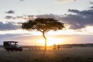 Hemingways Ol Seki Mara