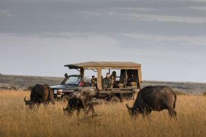 Hemingways Ol Seki Mara