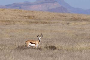 Wilderness Kulala Desert Lodge
