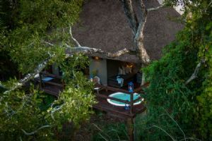 Sabi Sabi Little Bush Camp