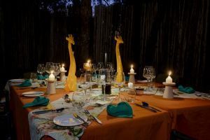 Sabi Sabi Little Bush Camp