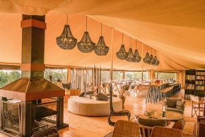 Serengeti Bushtops Lodge