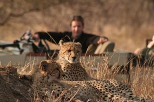 Tintswalo Safari Lodge