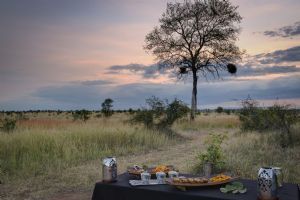Tintswalo Safari Lodge
