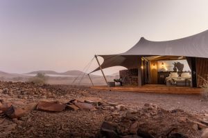 Wilderness Desert Rhino Camp