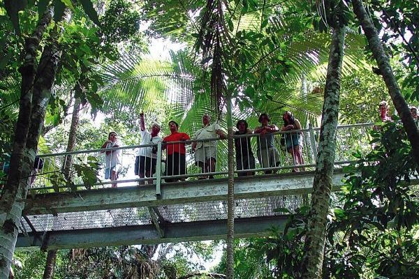 Cape Tribulation and Daintree Rainforest