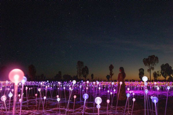 A Night at Field of Light