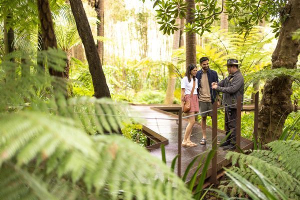 Royal Botanic Gardens & Aboriginal Heritage Walk