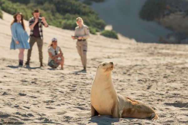 Kangaroo Island Adventure Charters