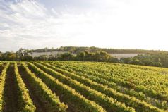 Margaret River and the South West