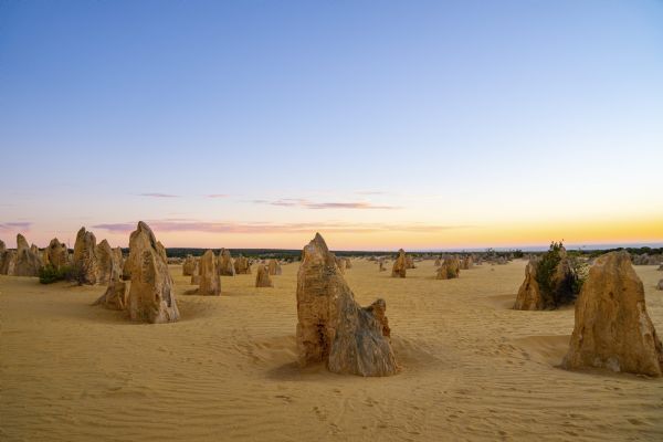 The Pinnacles Desert Tour