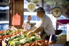 Understanding the Real Melbourne