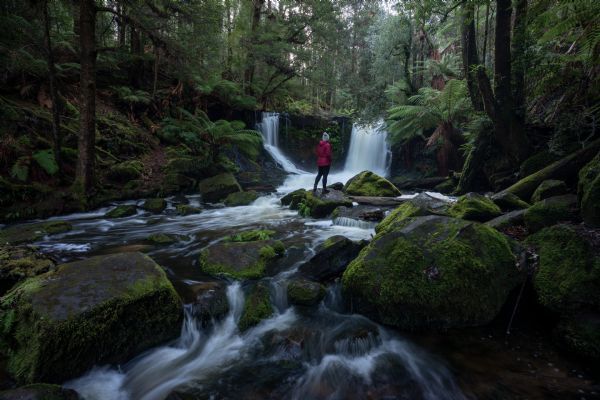 Waterfalls and Wildlife Tour