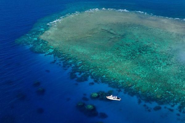 Cairns & Great Barrier Reef