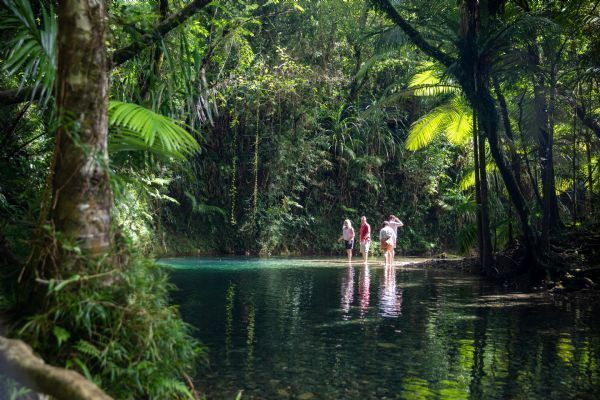 Port Douglas & Daintree Rainforest