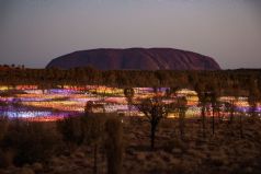 Aussie City Lights and Starry Nights