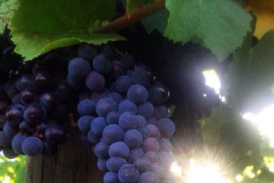 Aussie City Lights and Starry Nights