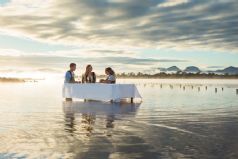 Luxury Food, Wine and Wildlife