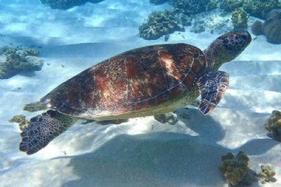 Natural Wonders of Queensland