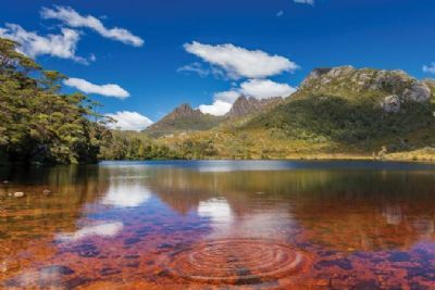 Tantalizing Tasmania