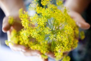 Lake House Daylesford