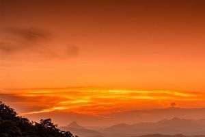 O'Reilly's Rainforest Retreat and Mountain Villas