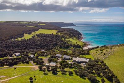 Sea Dragon Kangaroo Island