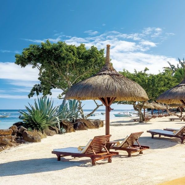 Beach, City, & Safari Sojourn