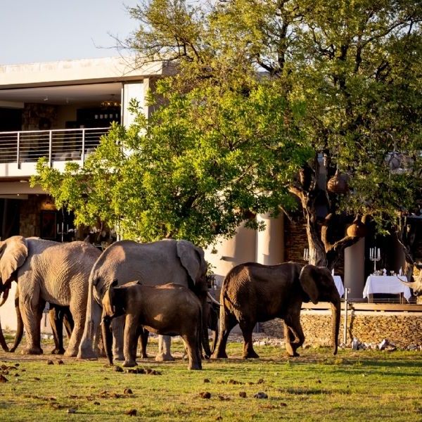 Best of South Africa