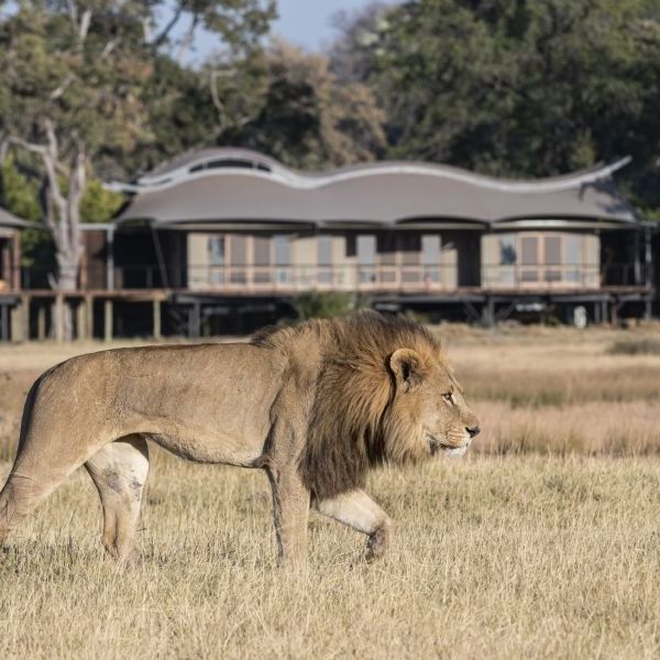 Bespoke Southern Africa