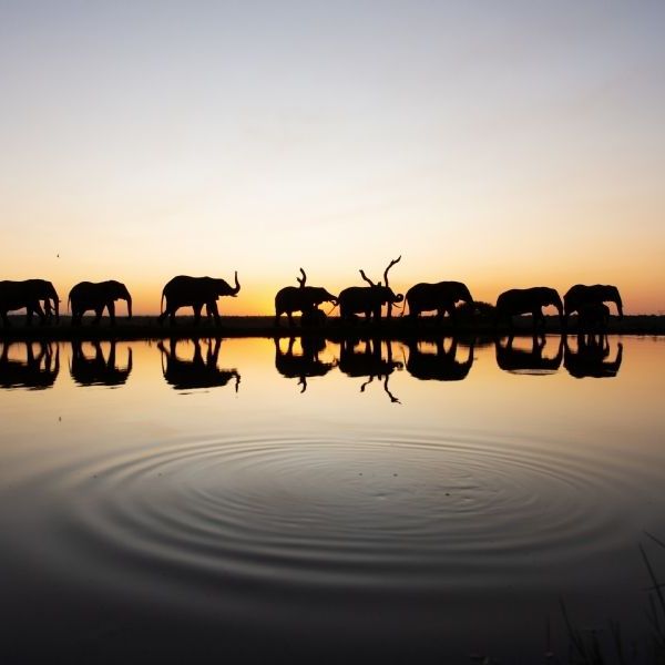 Hidden Treasures of South Africa