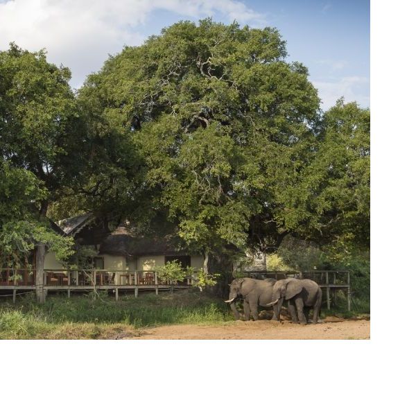 Highlights of South Africa